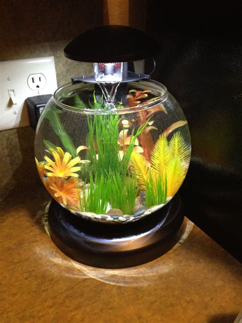 Magical lightd fish bowl
